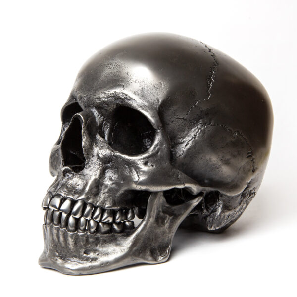 Human Skull - Steel - Image 2