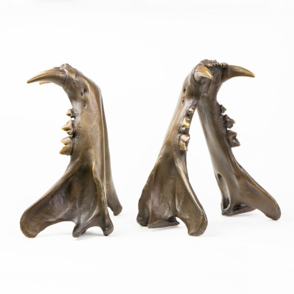 Tiger Jaw Bookends - Image 3