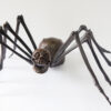 Bronze Sculpture Spider