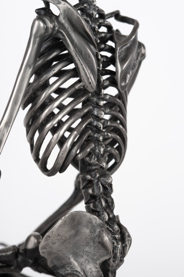 Lotus Pose Steel Skeleton