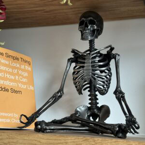 Lotus Pose Steel Skeleton Lifestyle