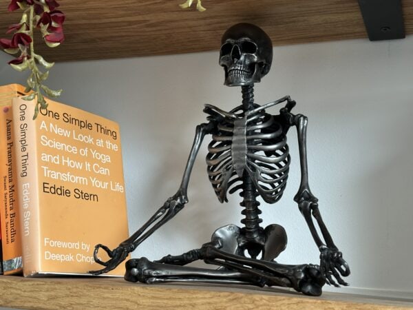 Lotus Pose Steel Skeleton Lifestyle
